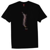 Djalarr Men's Tees BLACK